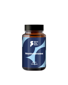 Nattokinase 120 Kapseln