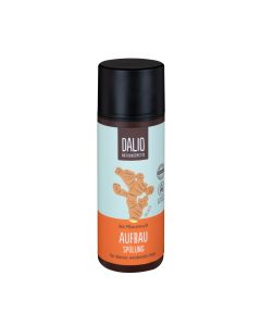 Dalio Aufbau Spülung