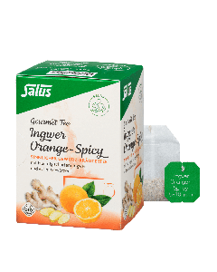 Ingwer Orange Spicy 15 Filterbeutel