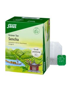 Grüner Tee Sencha 40 Filterbeutel