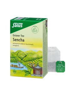 Grüner Tee 15 Filterbeutel