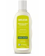 Gentle & Mild Shampoo
