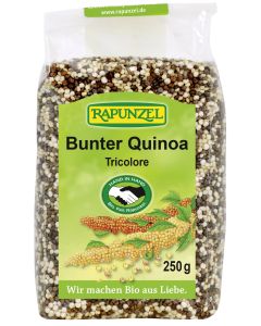 Quinoa bunt